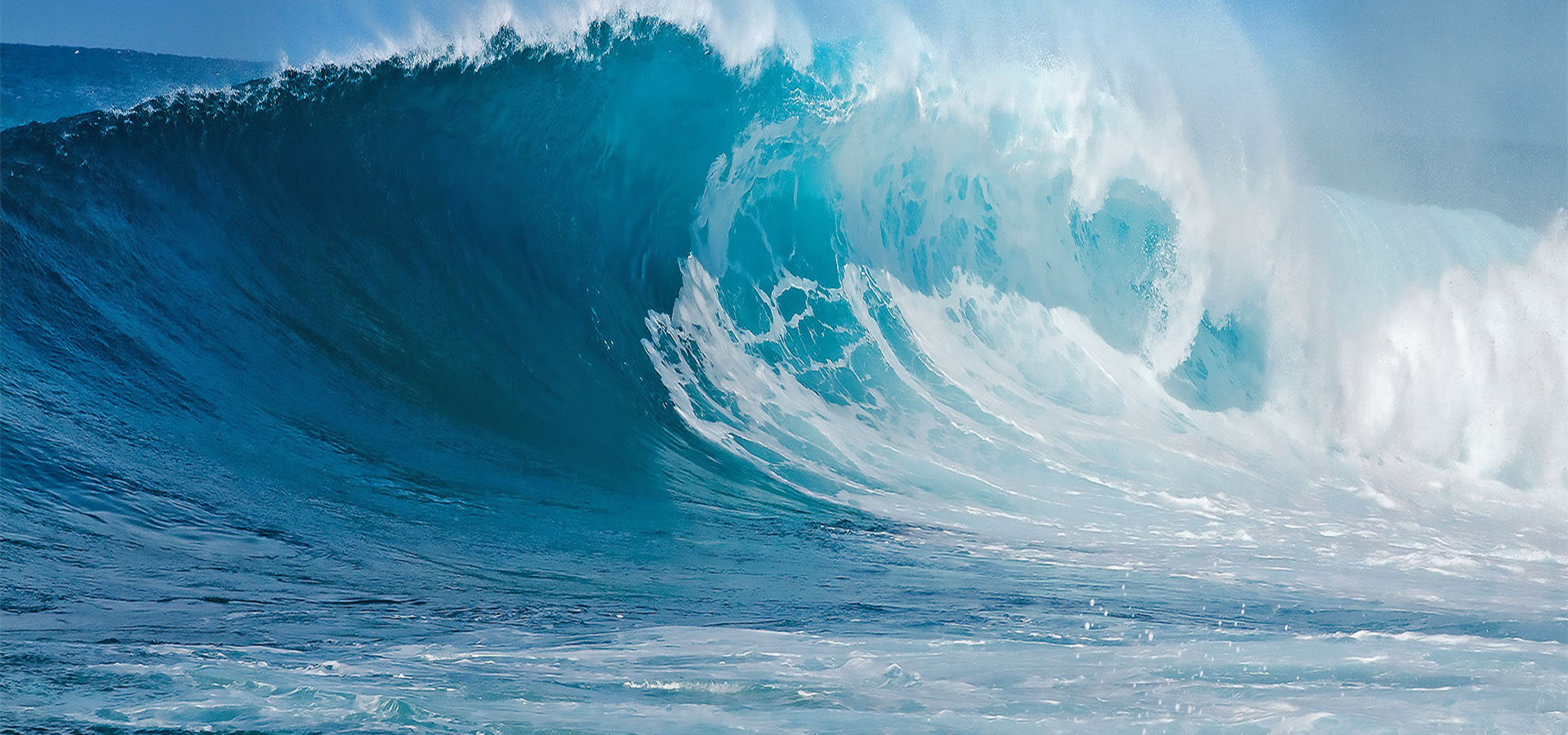 元含万象、万象鉴黑担保网